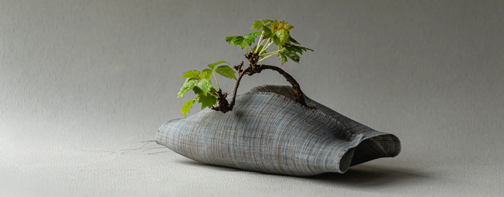 안마게스트 전경